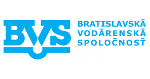 bvs logo